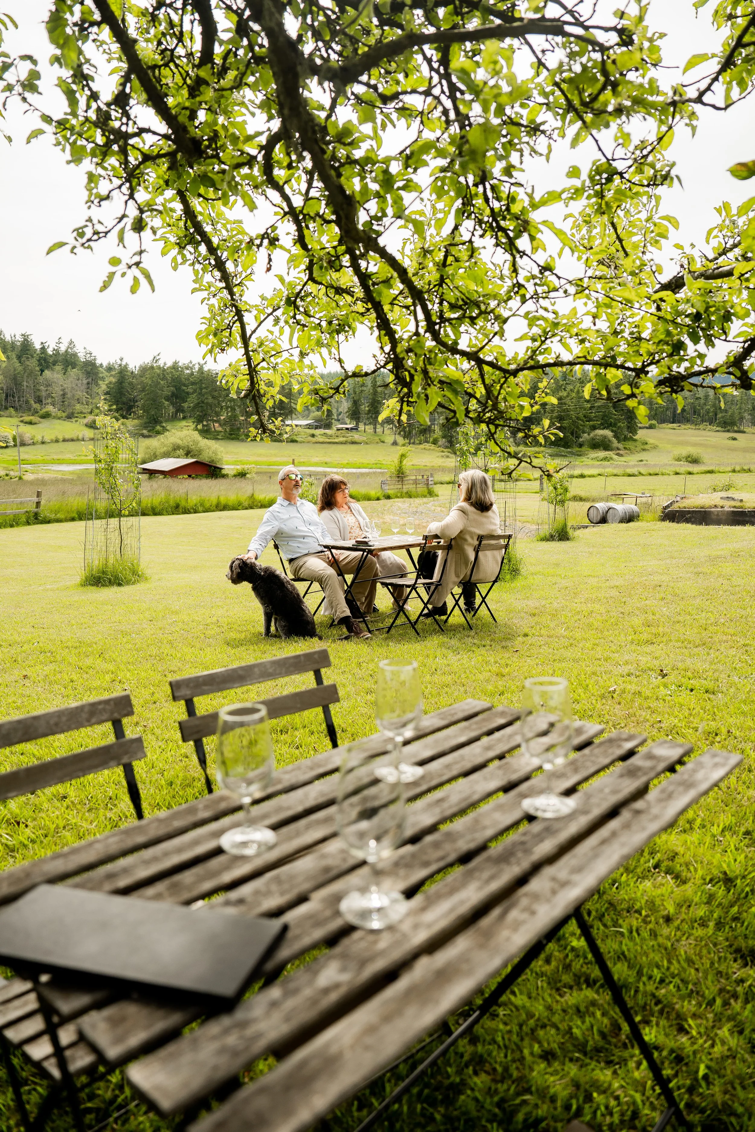 Three people sitting in a green field drinking wine with their dog next to them