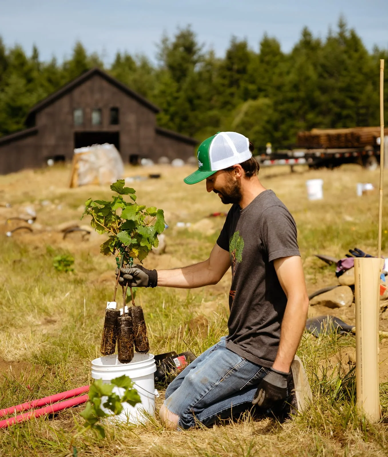Man holding three small saplings ready to be planted