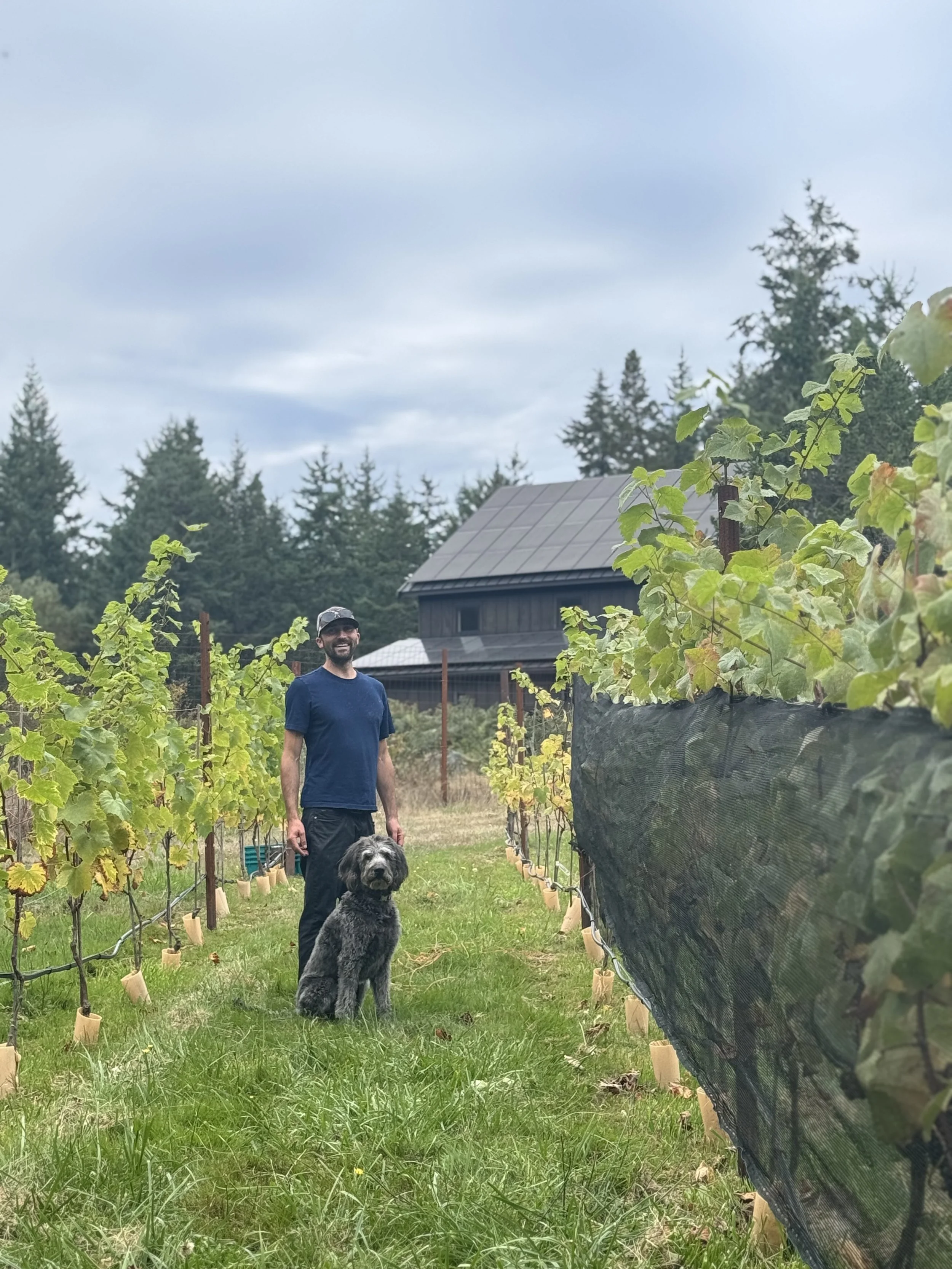 Shaun with a dog in vineyard
