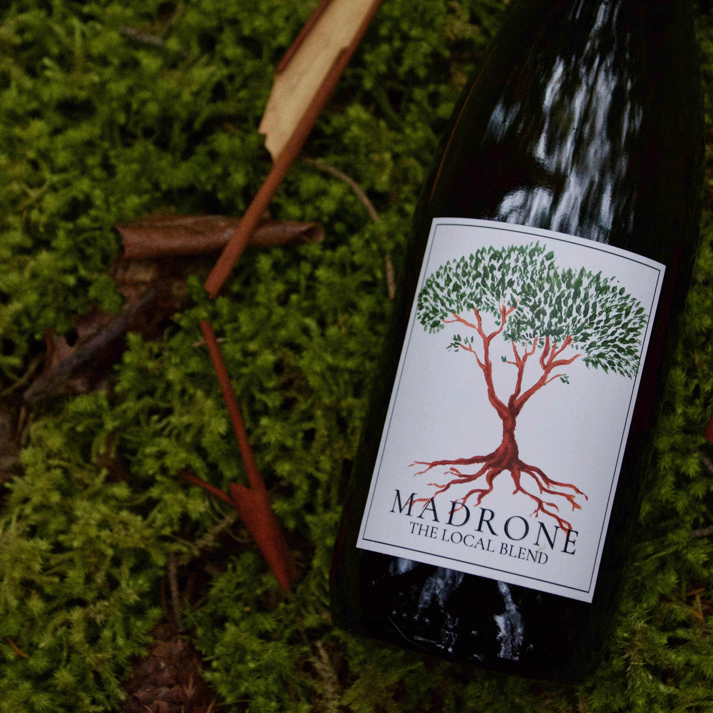 cabernet-sauvignon.webp