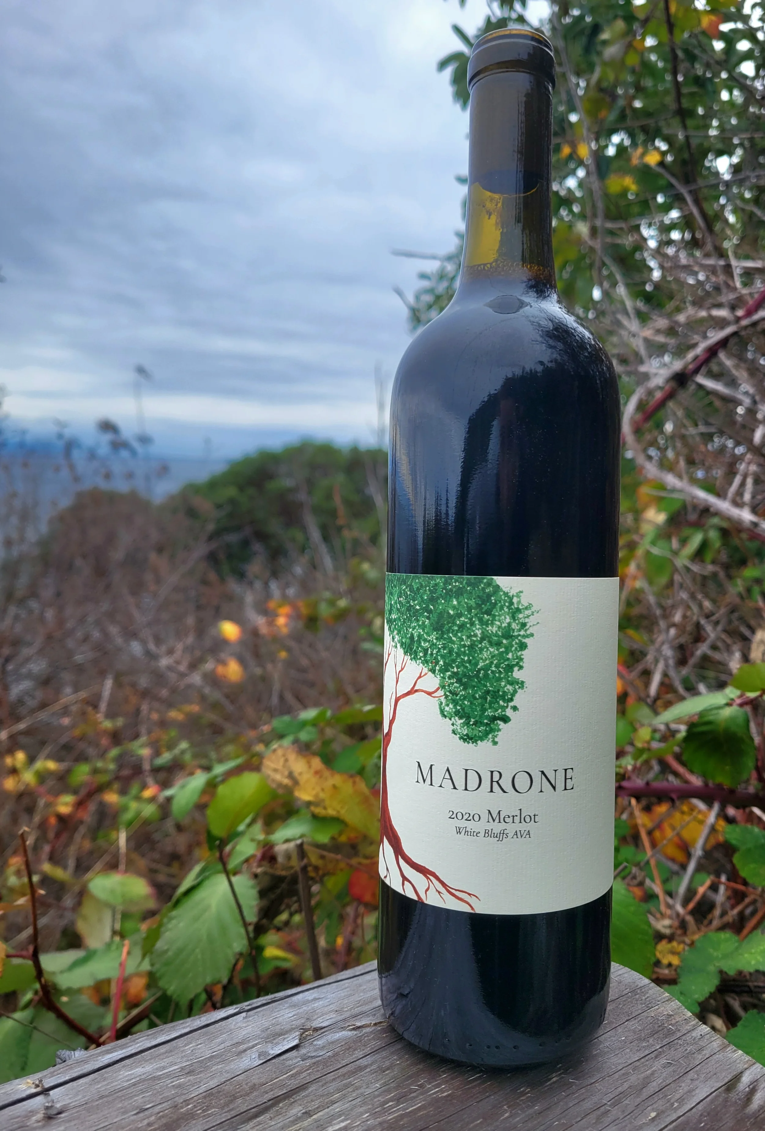 merlot.webp