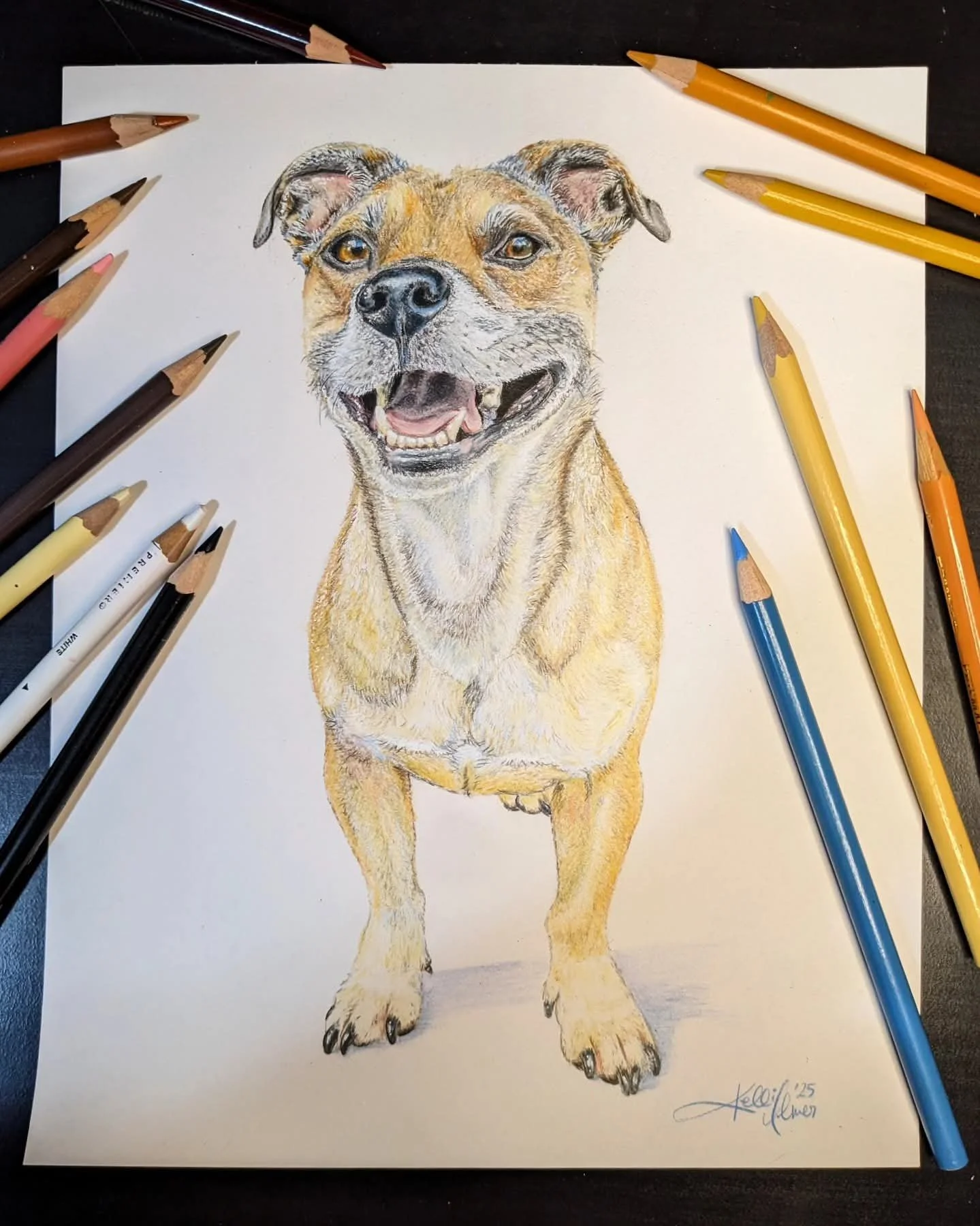 Commission - Pet Portrait 8"X10"
