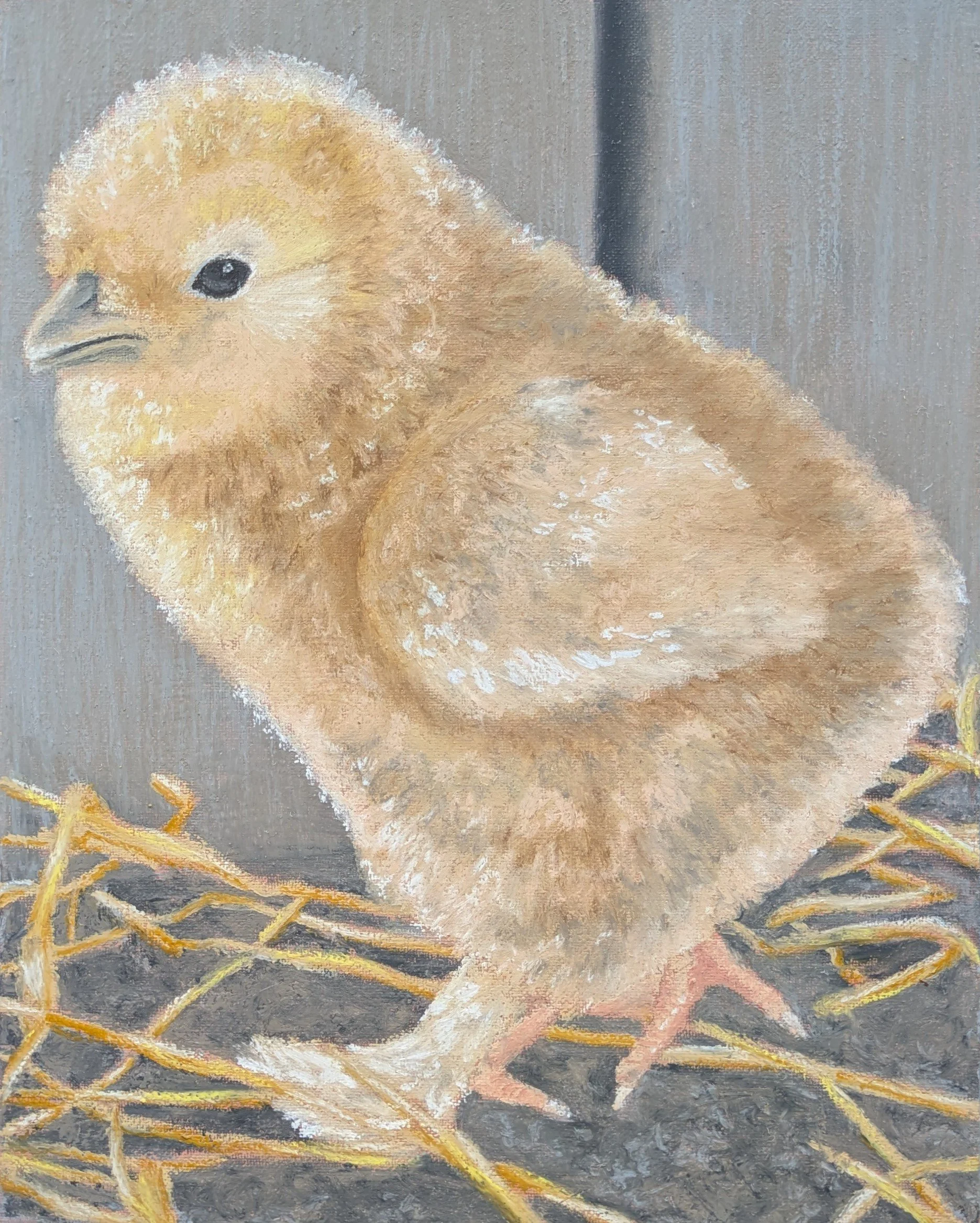 Spring Chick