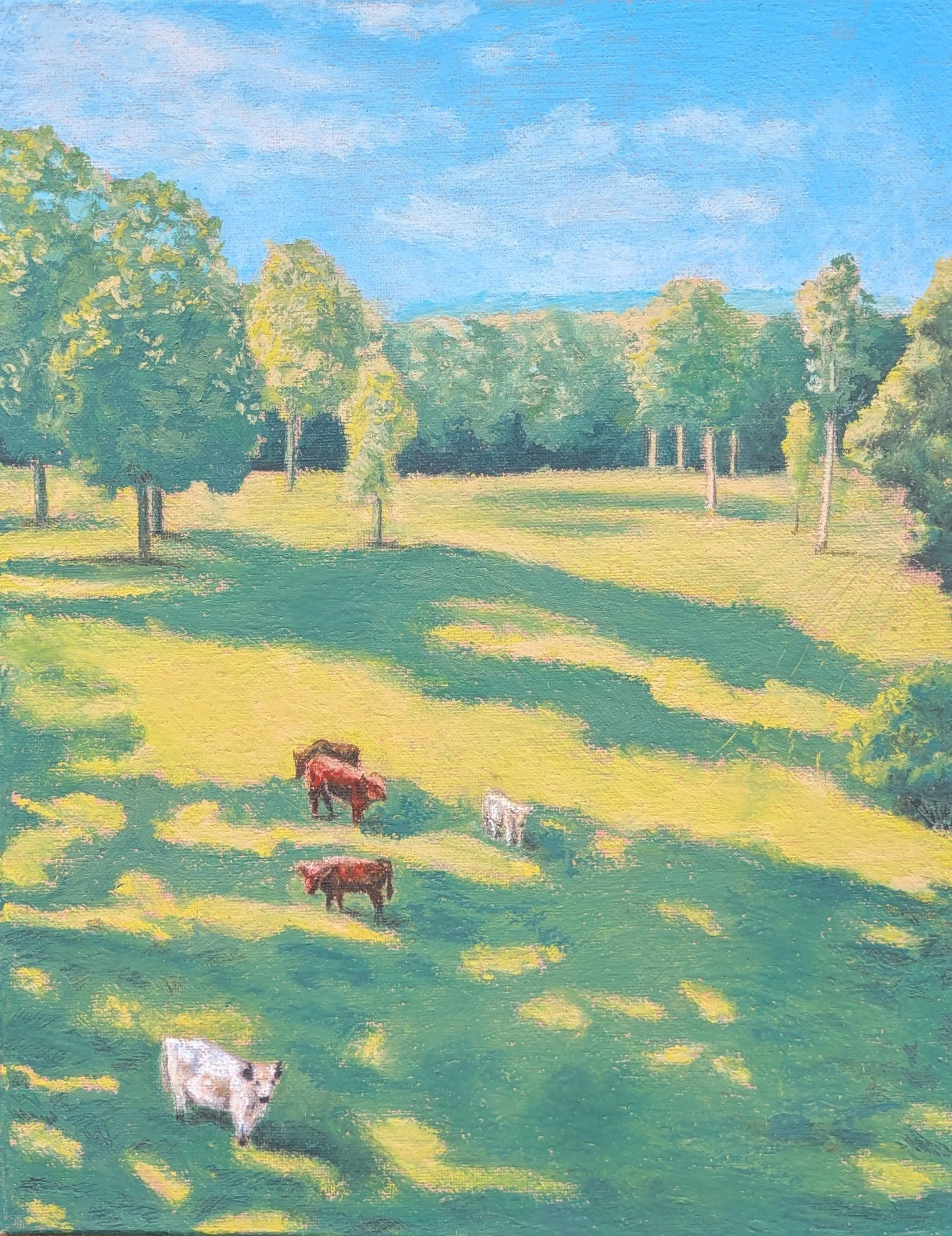 Cows in a Field
