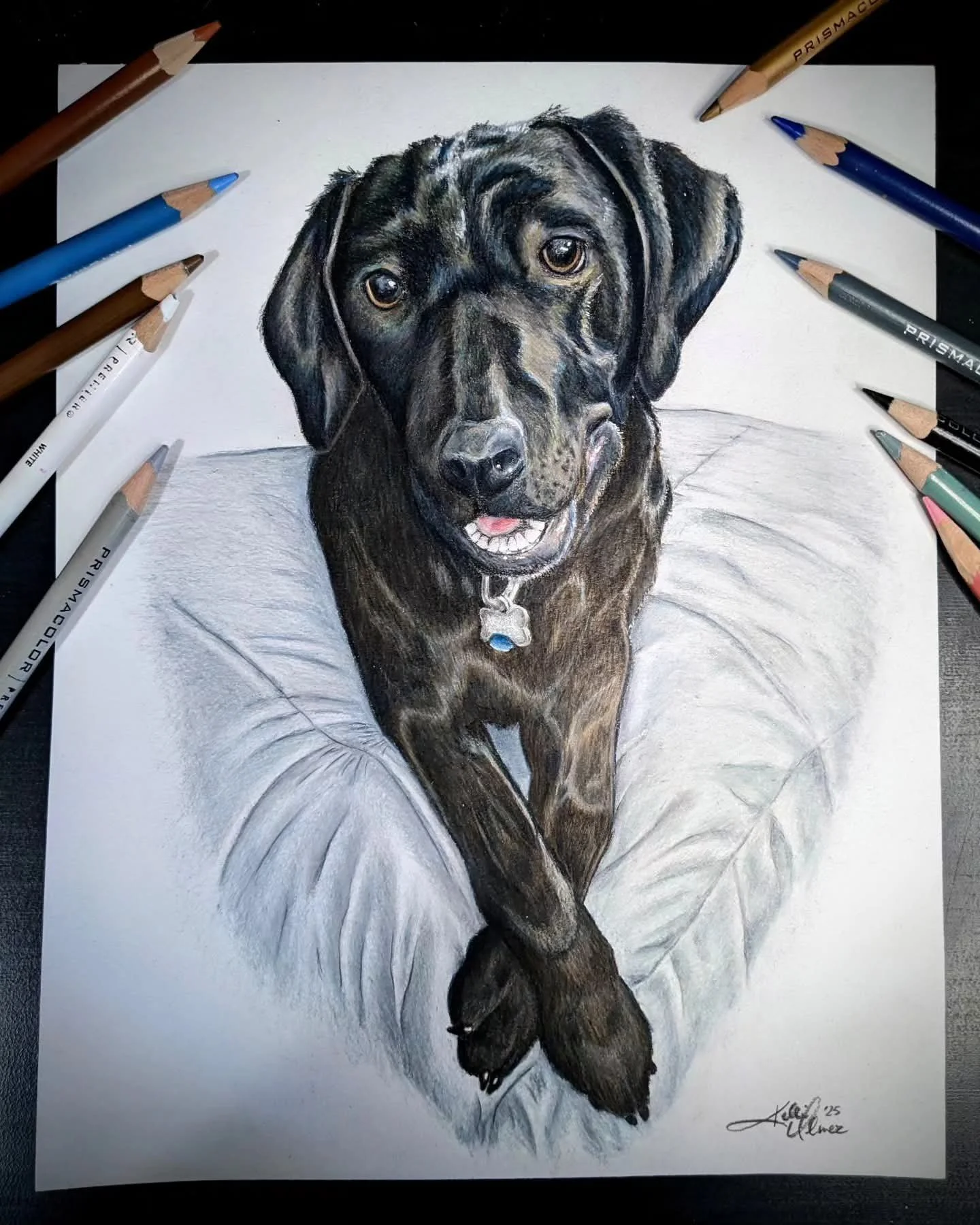 pet Portrait 2.jpg