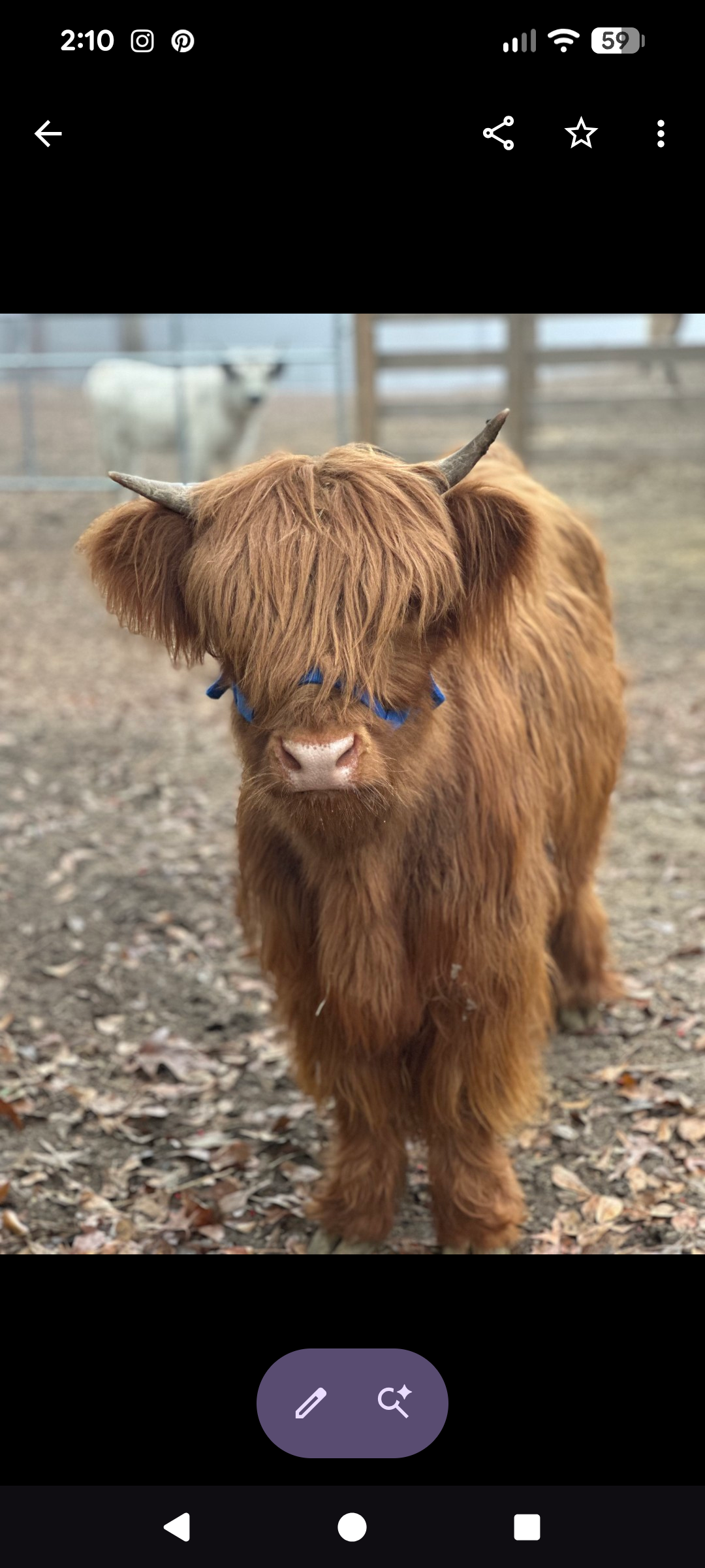 website gallery9.jpg