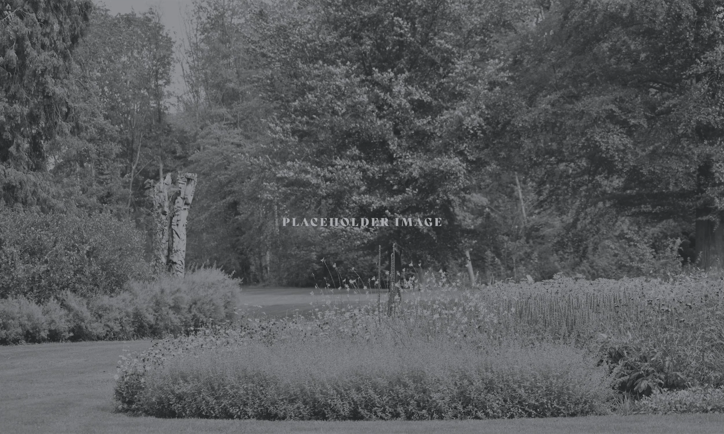 Landscaping Placeholder-02.jpg