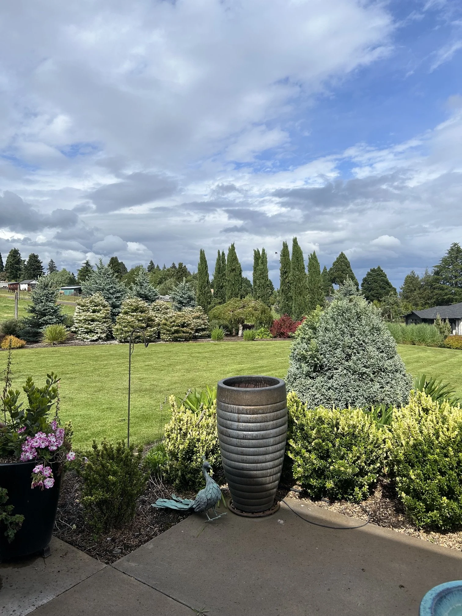 IMG_5104.jpeg