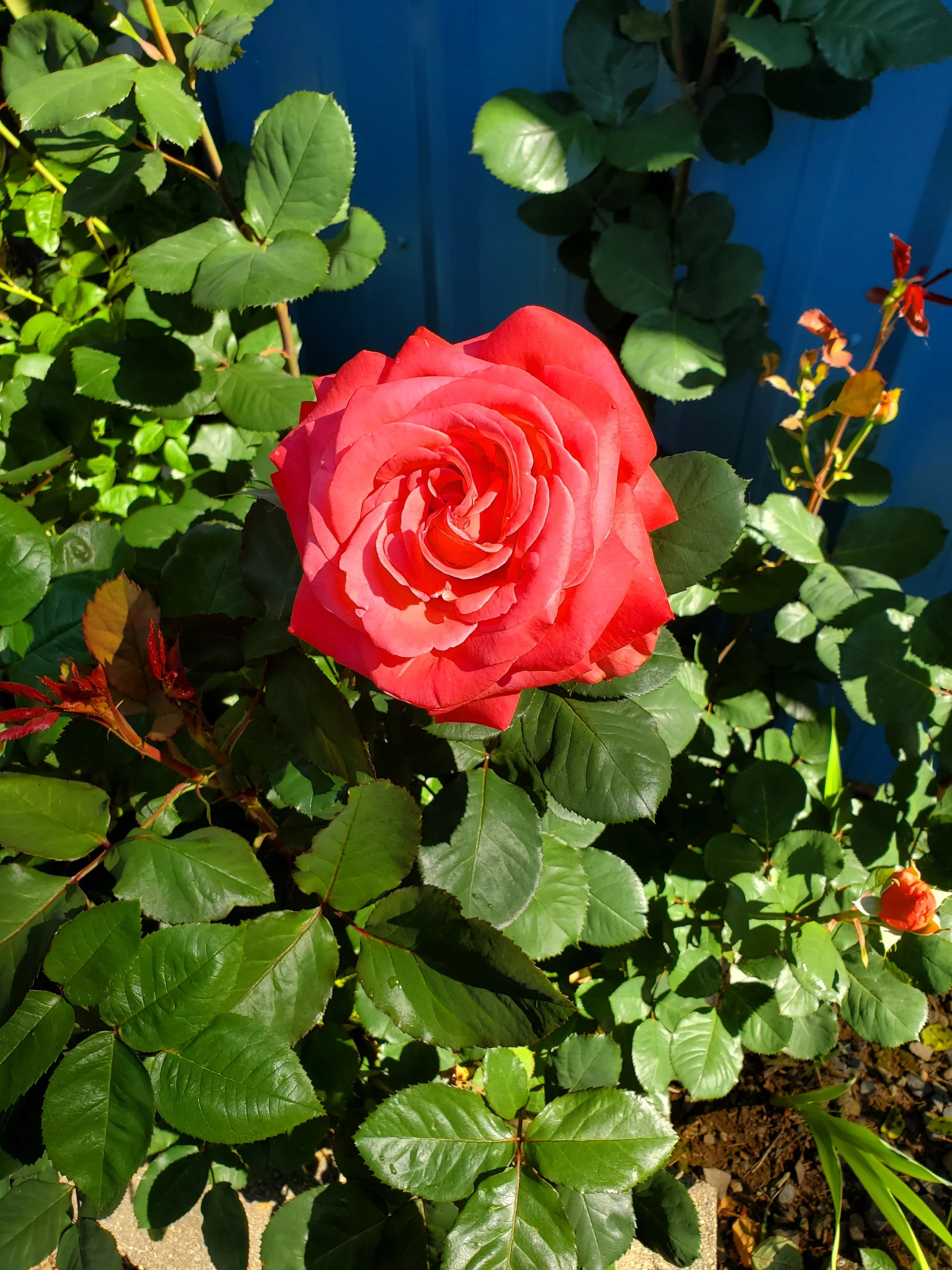 20200601_094414.jpg