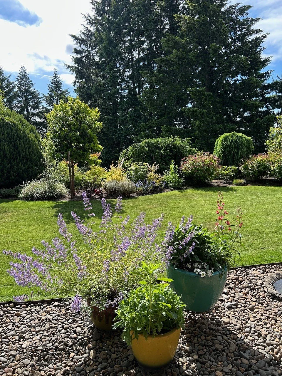 Rebecca’s Garden Property
