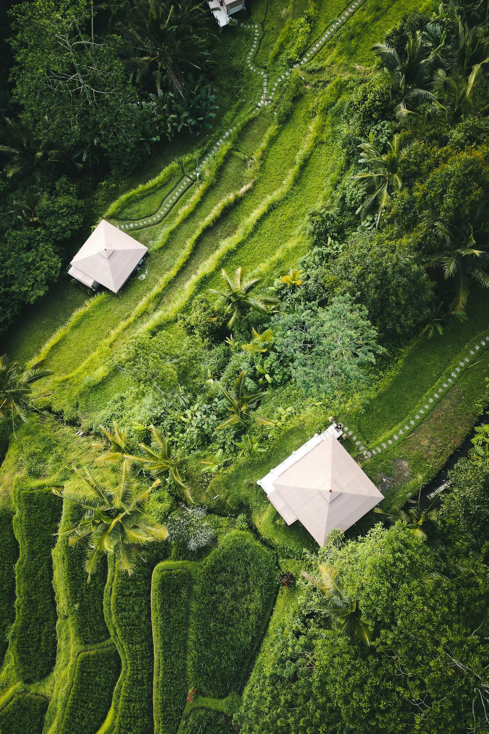 Aerial view of outdoor hospitality development site with glamping structures, open land, trees, and natural landscape