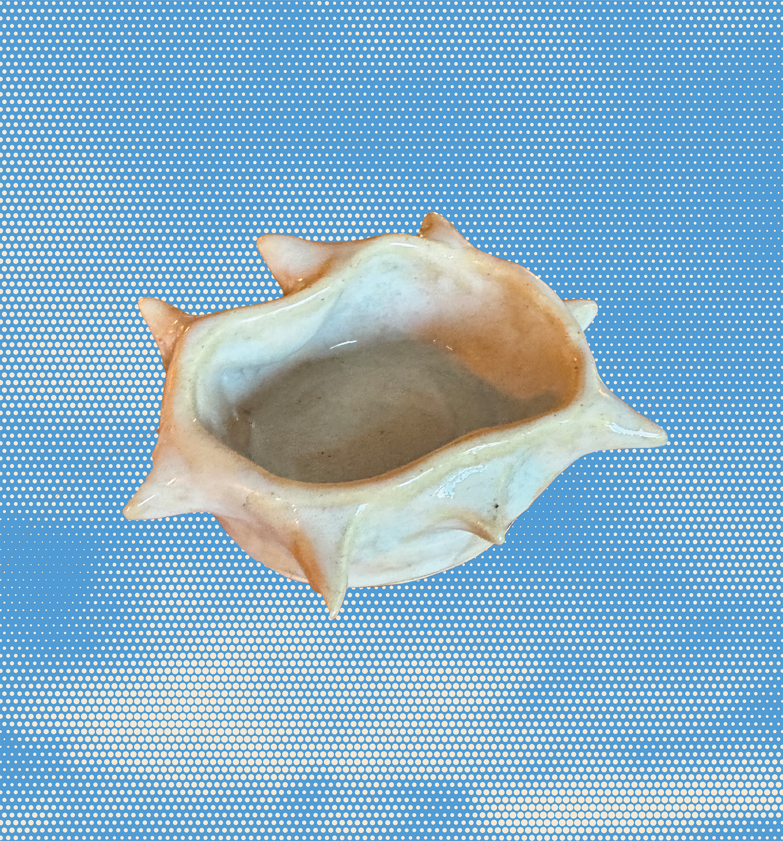 spikedish 3.png