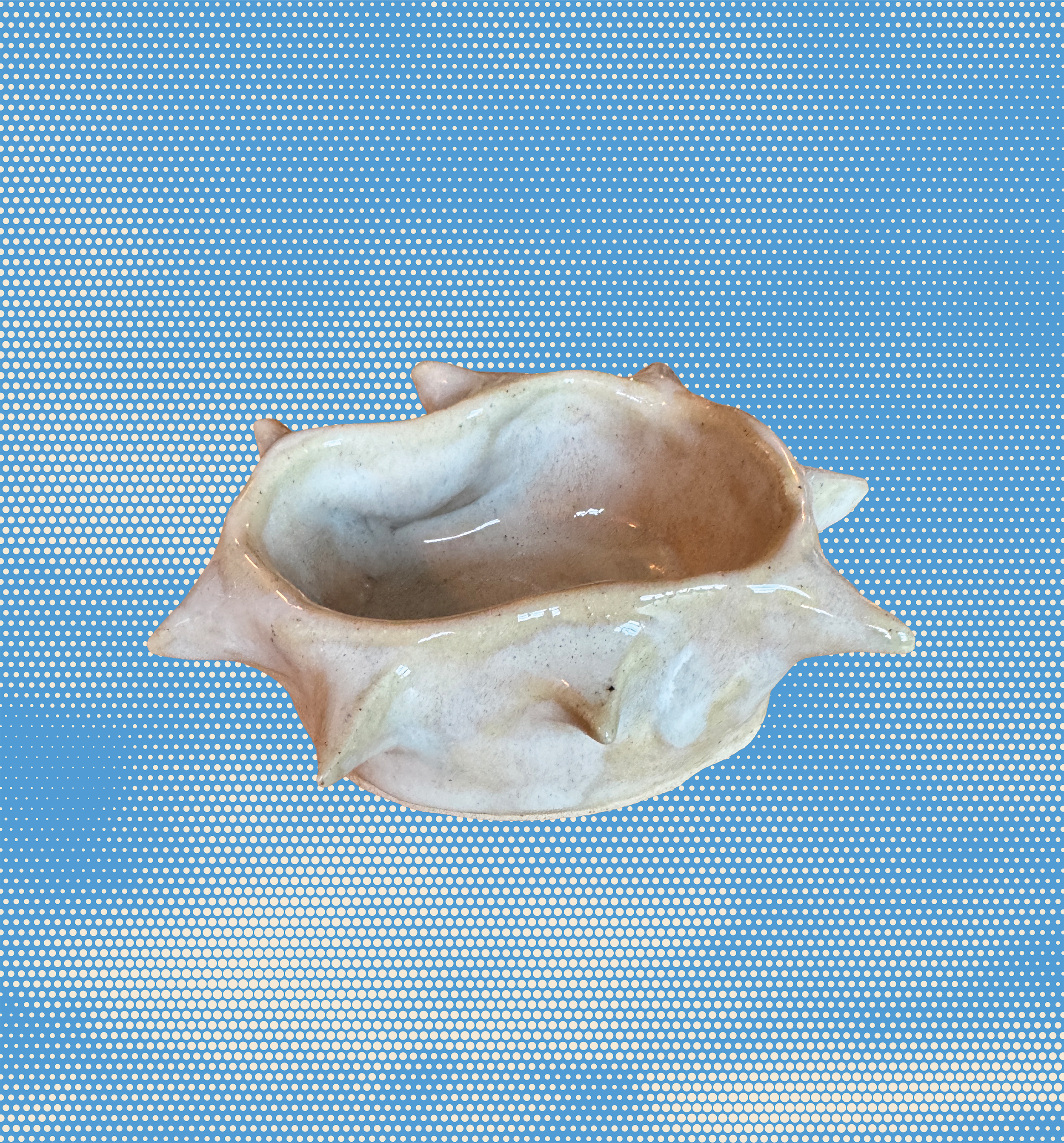 spike dish.png