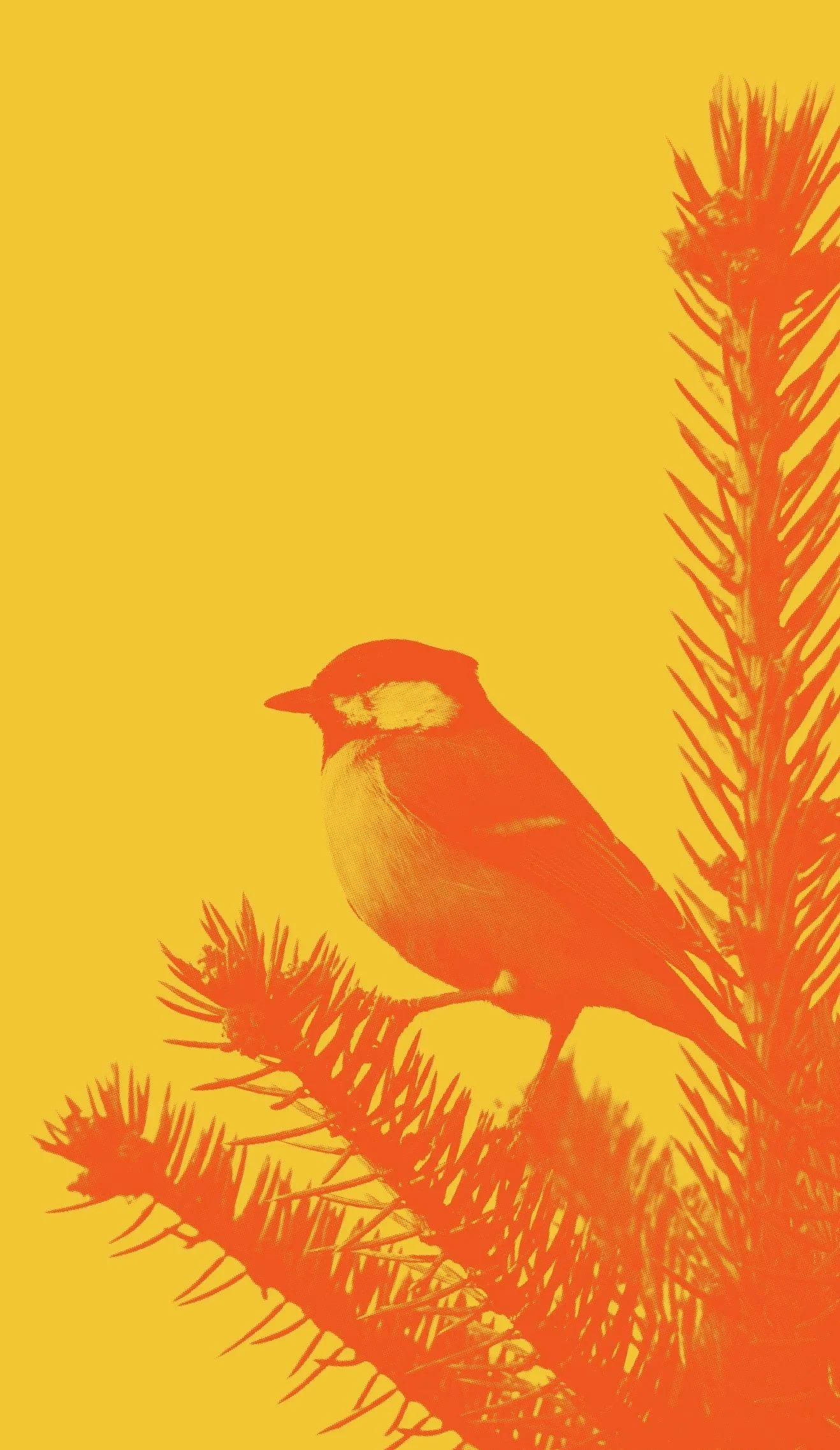 An orange and yellow illustrated bird perched on pine tree branches with a yellow background.
