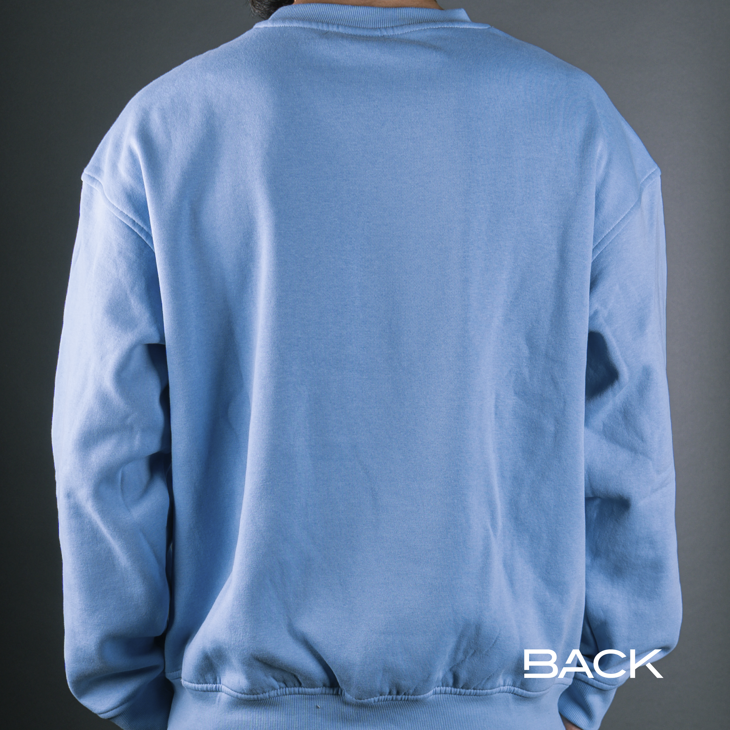 product photos with text_HOODIEBACK.webp