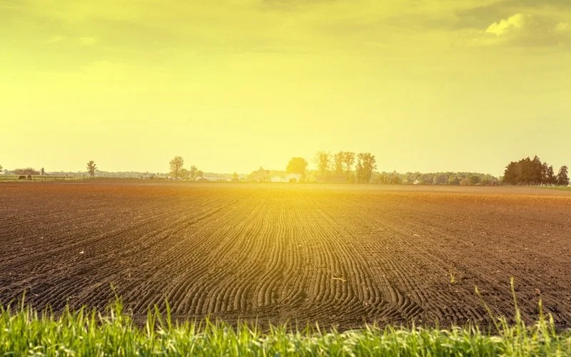 Farmland with sunshine