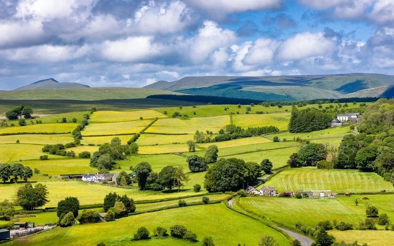 Scenic farmland in the country