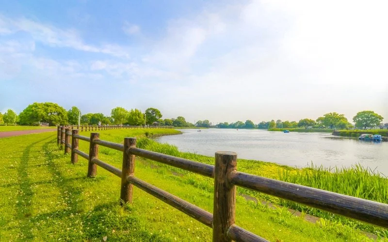 Fence and grass next to water