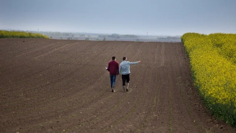 Two men walking through a field