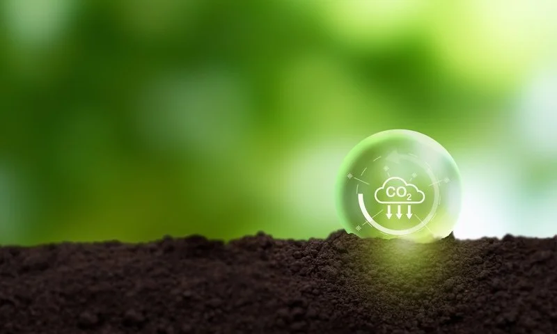 Dirt and green background with a CO2 bubble