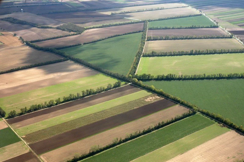 Aerial view of farmland