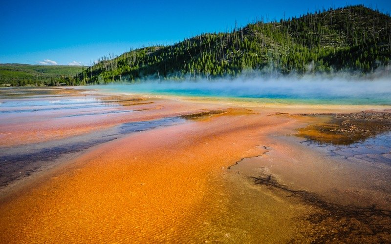 Geyser field in front of green trees