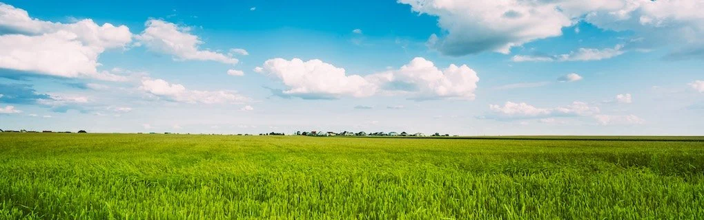 Blue sky above a green field