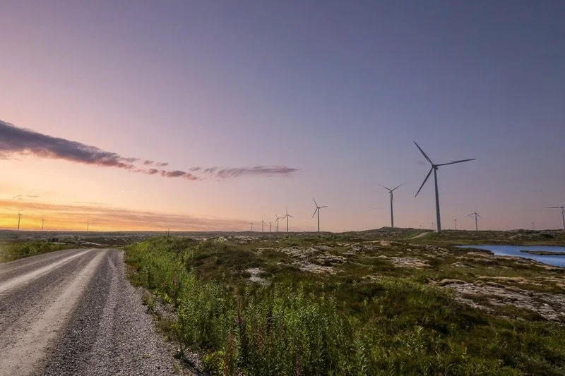 Wind mills next to a road