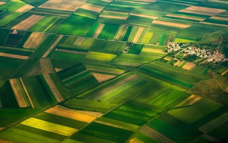 Green area seen from aerial view