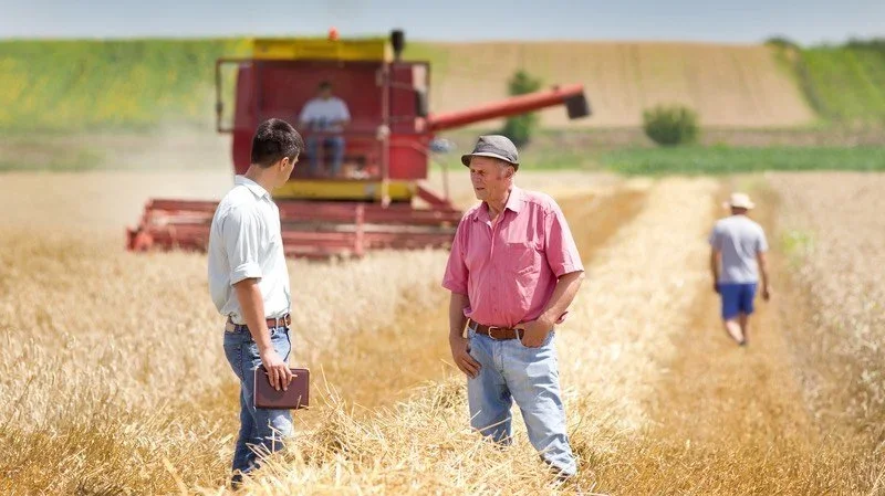 Farmer and man talking in a field