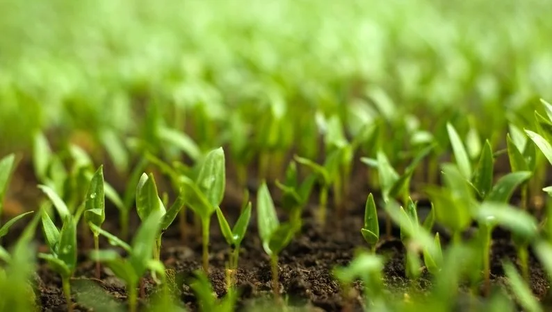 Why Farmers Should Be Excited About Geologic Hydrogen