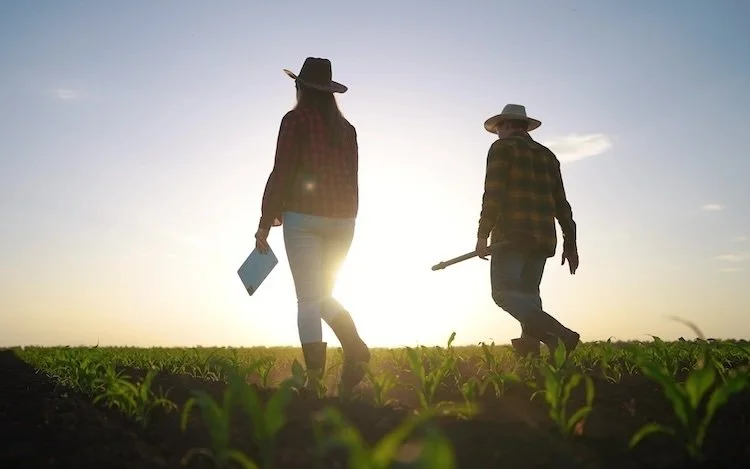 Two people in hats walking through a field