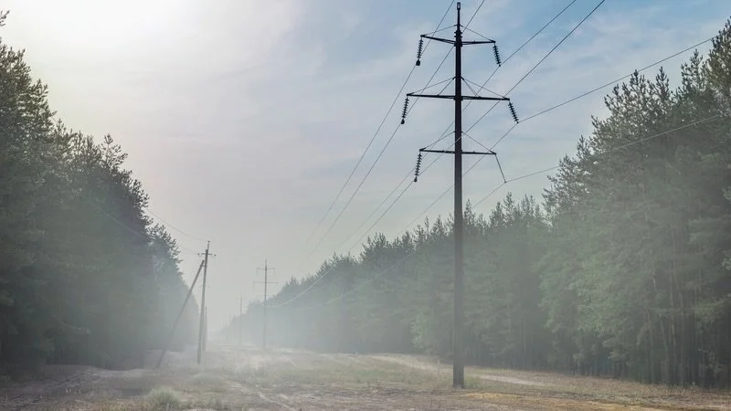 Power lines running through a wooded area