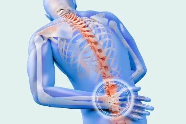 anatomical graphic of skeleton expressing back and spine pain