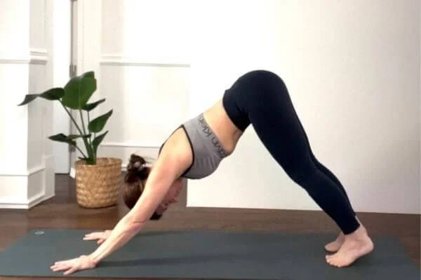 trish in downdog with active feet and legs so wrists have less weight and no pain