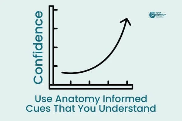graph of increased learning curve at yoga anatomy school with balanced postural alignment framework