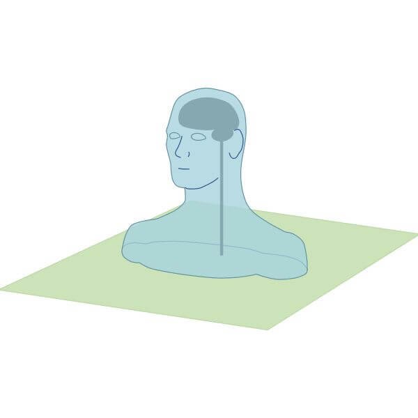 graphic representing horizontal plane of movement in biomechanics