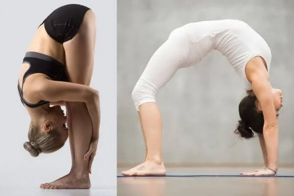 yoga postures demonstrate loss of lumbar curve in forward fold and backbends