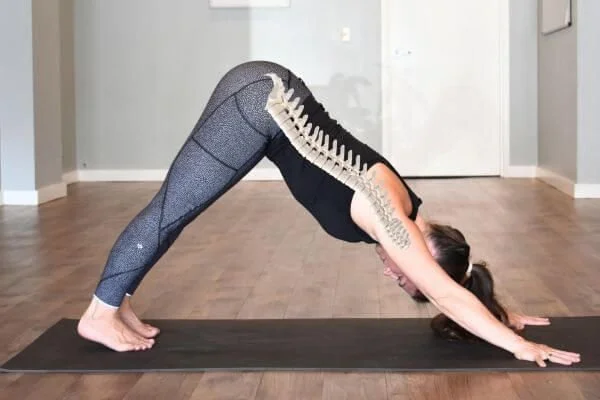 trish corley yoga teacher trainer in downdog with netural spine