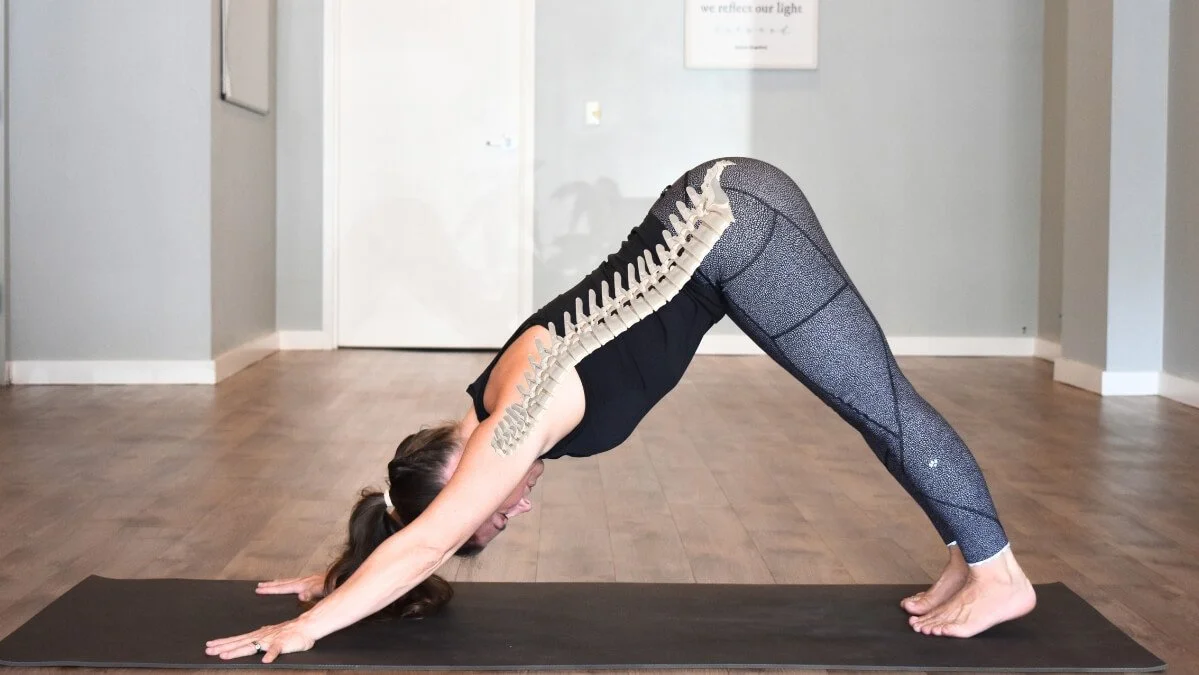 Keep the Lumbar Curve in Downward Facing Dog