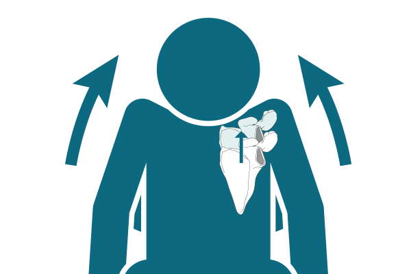 graphics of elevated scapula with person with shoulders by ears