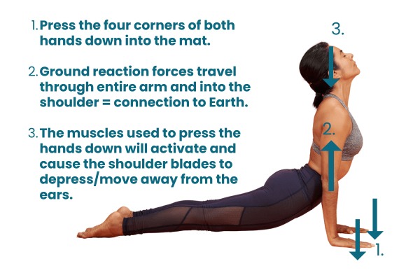 woman in upward facing dog following cues from trish corley