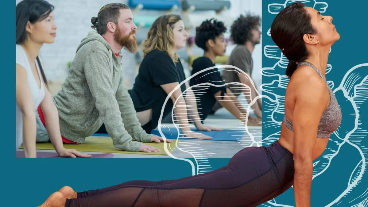 Teach Upward Facing Dog To Improve Spine Health