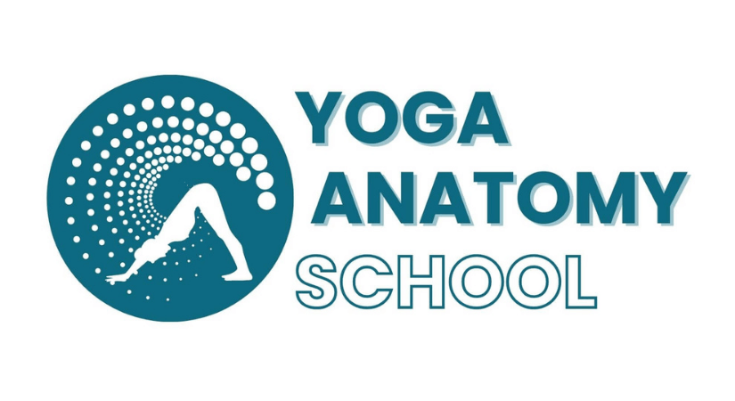 Yoga Anatomy School | 200-Hour Teacher Training Lisbon, Portugal