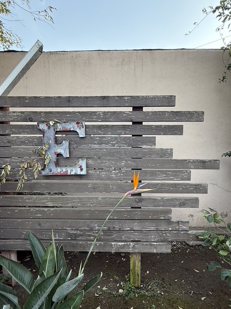 A weathered wooden fence with a decorative metal letter 'E' attached, surrounded by plants including a bird of paradise flower in the foreground, and a plain beige wall behind the fence under a clear blue sky.