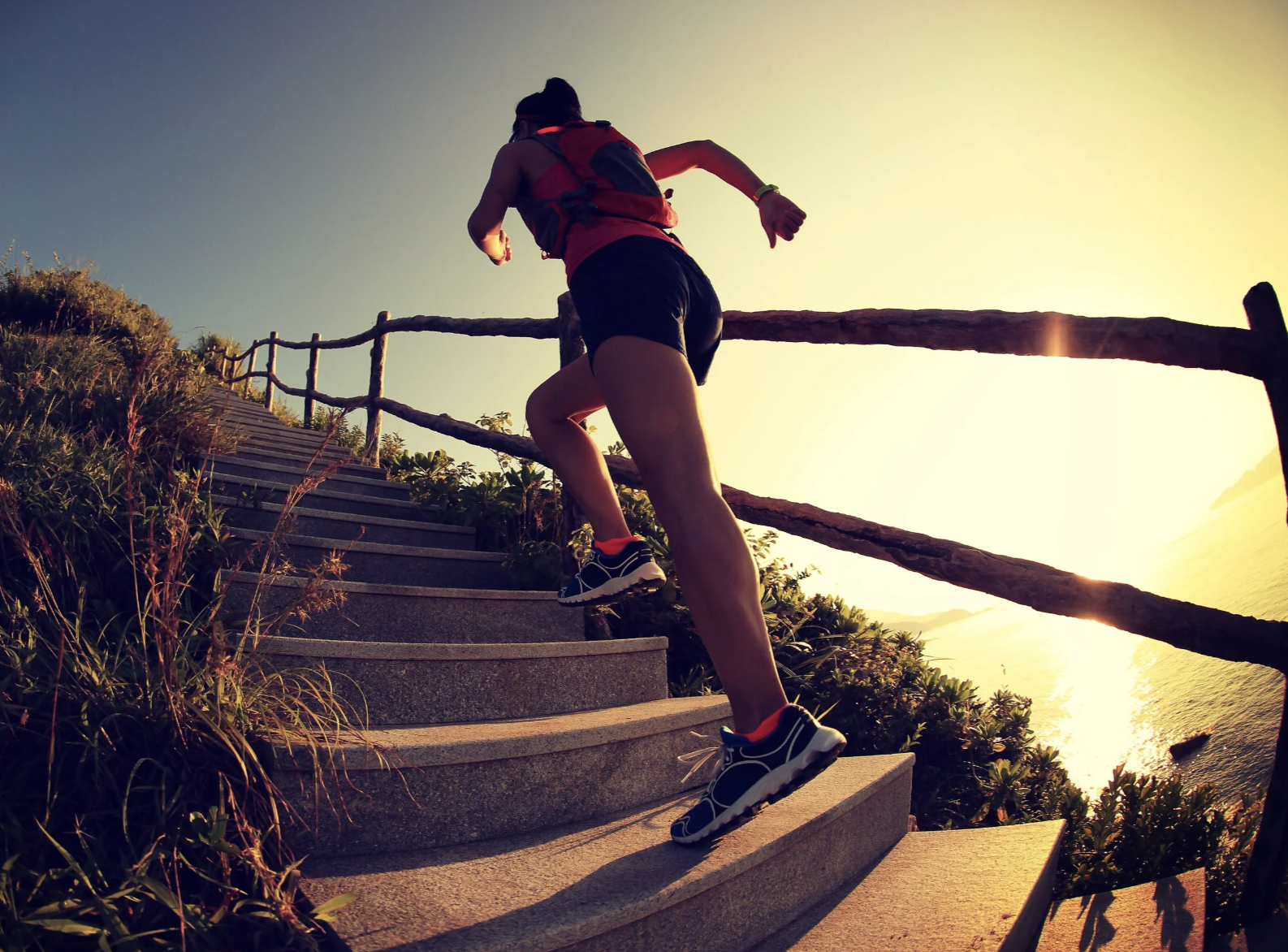 Save The Meniscus