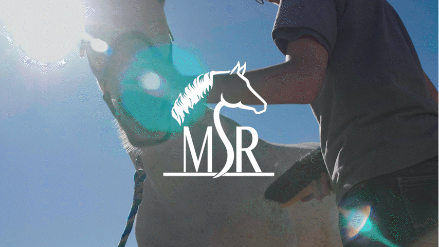 Mustard Seed Ranch • Director + Editor