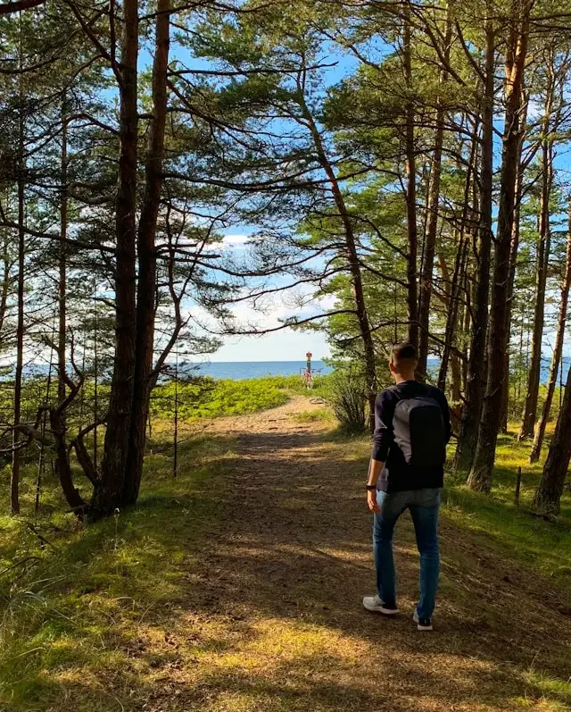 A person with a backpack walking on a dirt trail through a forest towards a body of water with a lighthouse in the distance. DarrenSoares.com - Clarity Session - A Humans Guide To Healing