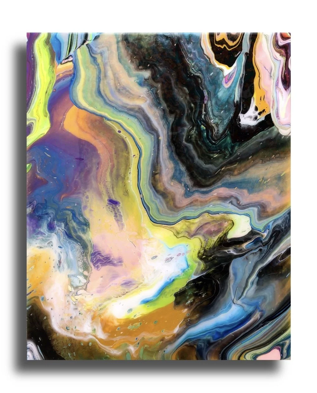 Algae | Henry Daniel Bell.jpg