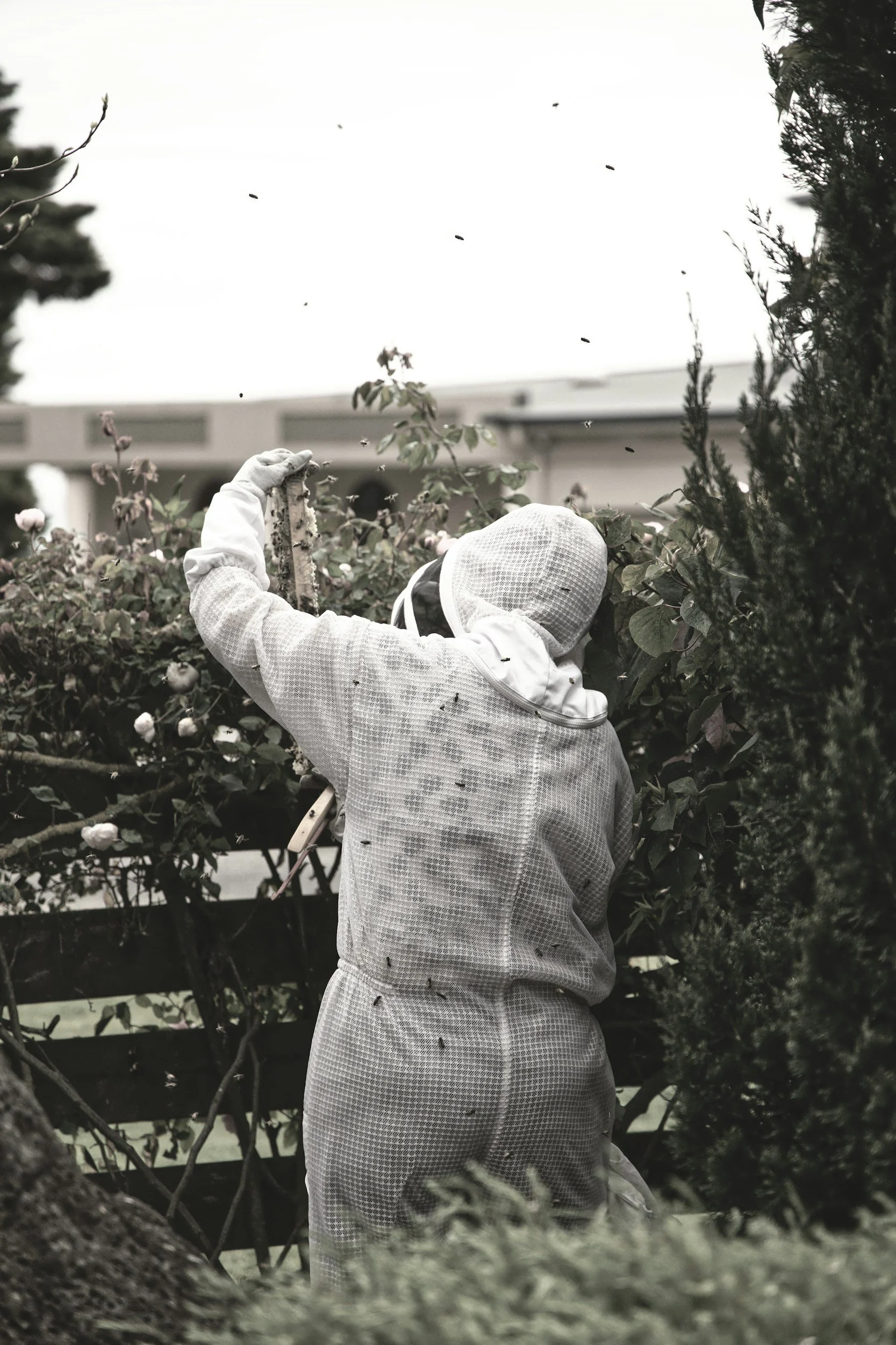 A person in a checkered coat and hood, wearing gloves, collecting fallen leaves or debris in a garden or yard with trees and shrubbery around.